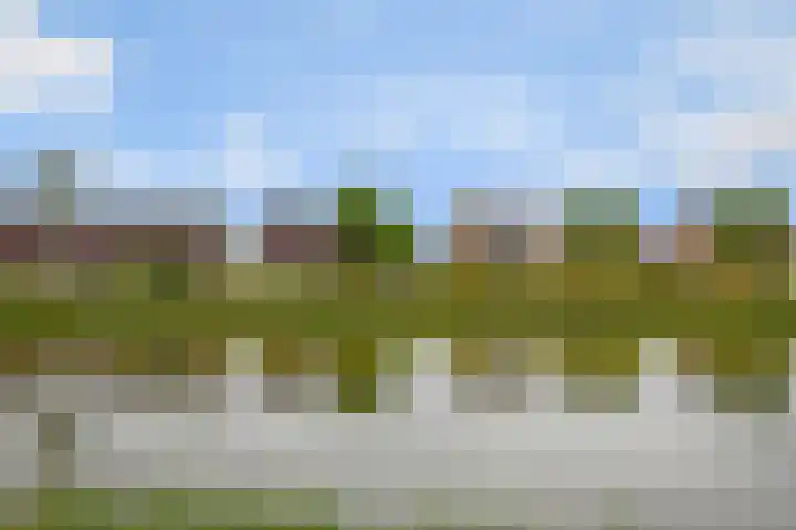 Regenboog 163 Elst thumbnail 33
