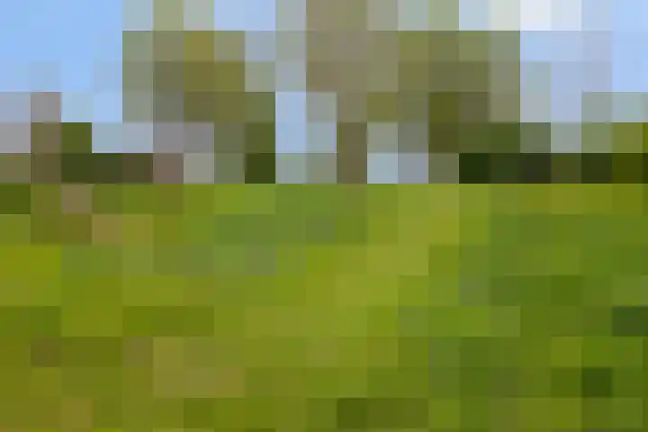 Regenboog 163 Elst thumbnail 34