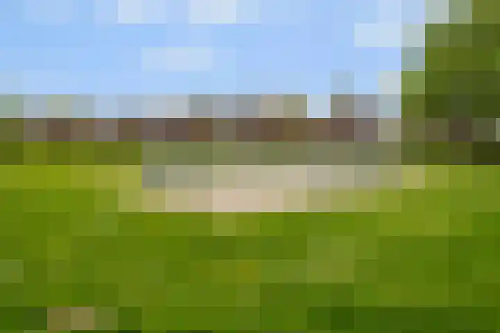 Regenboog 163 Elst thumbnail 35