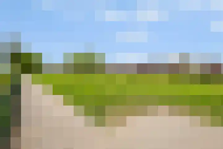 Regenboog 163 Elst thumbnail 36