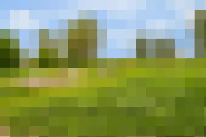 Regenboog 163 Elst thumbnail 37