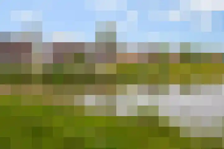 Regenboog 163 Elst thumbnail 38