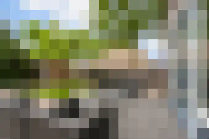Regenboog 163 Elst thumbnail 39