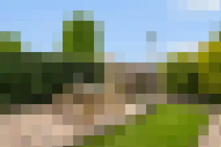 Regenboog 163 Elst thumbnail 41