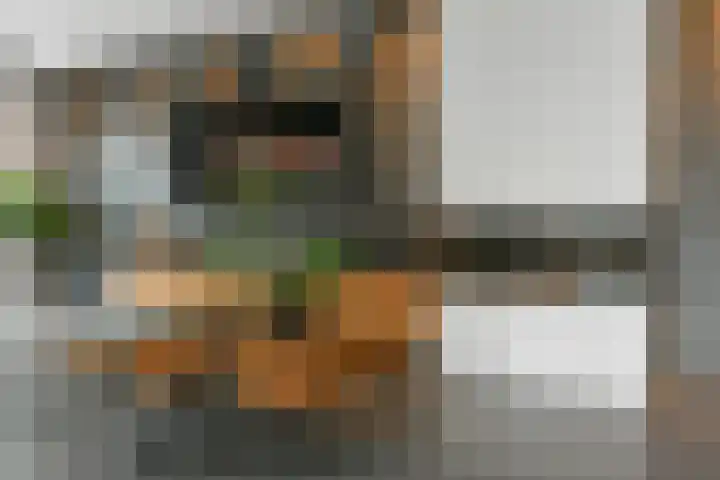Regenboog 231 Elst thumbnail 10