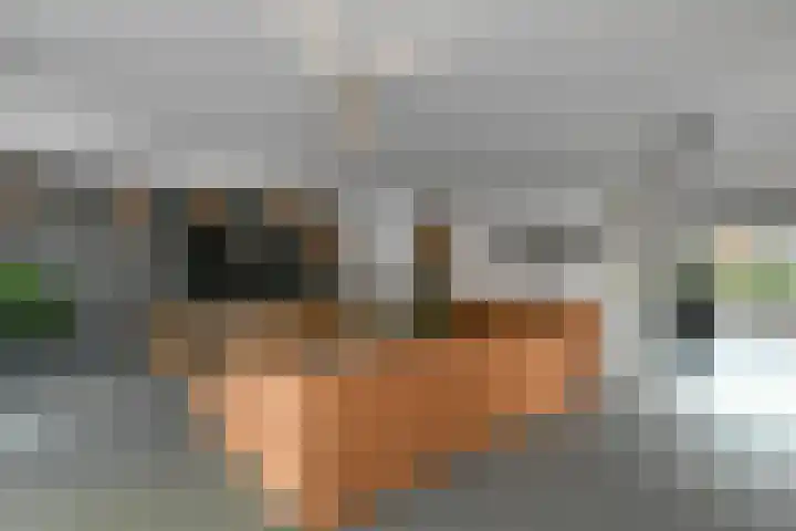Regenboog 231 Elst thumbnail 11
