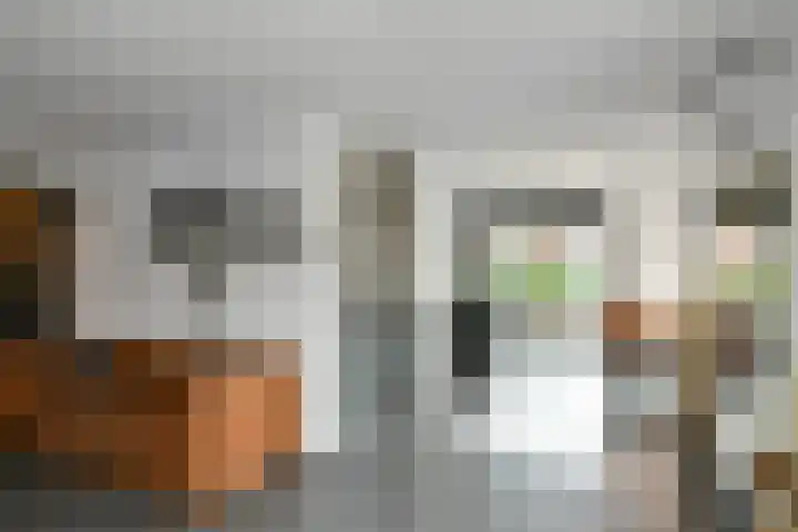 Regenboog 231 Elst thumbnail 12