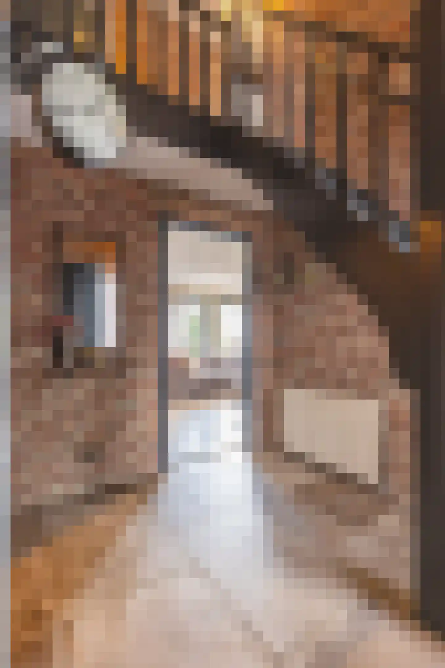 Regenboog 231 Elst thumbnail 15