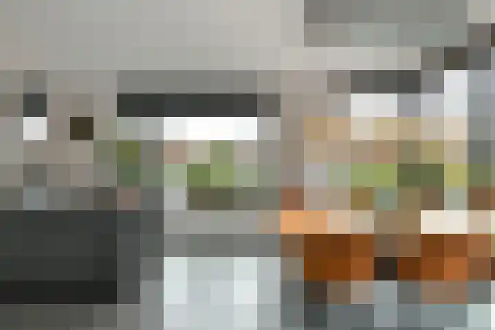 Regenboog 231 Elst thumbnail 15