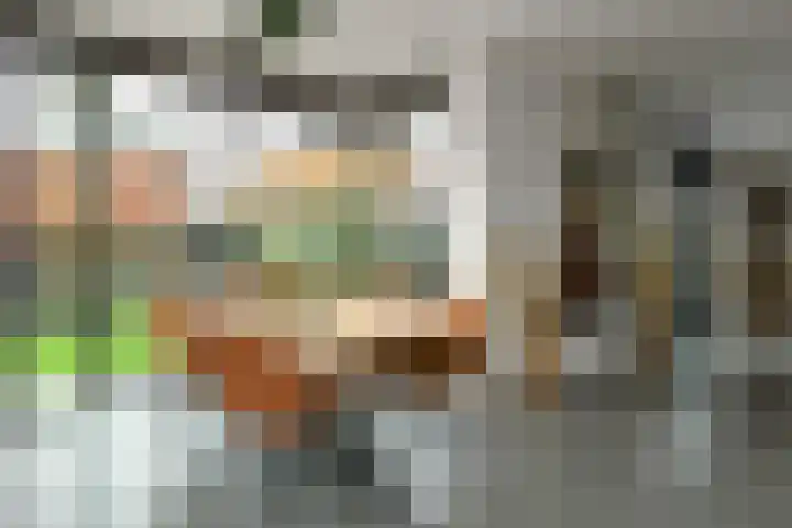Regenboog 231 Elst thumbnail 16