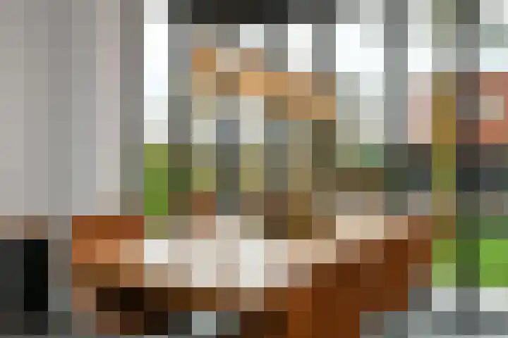 Regenboog 231 Elst thumbnail 17
