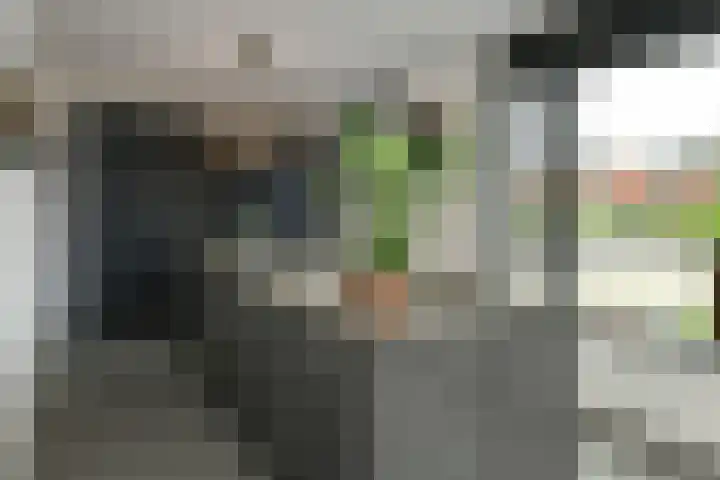 Regenboog 231 Elst thumbnail 19