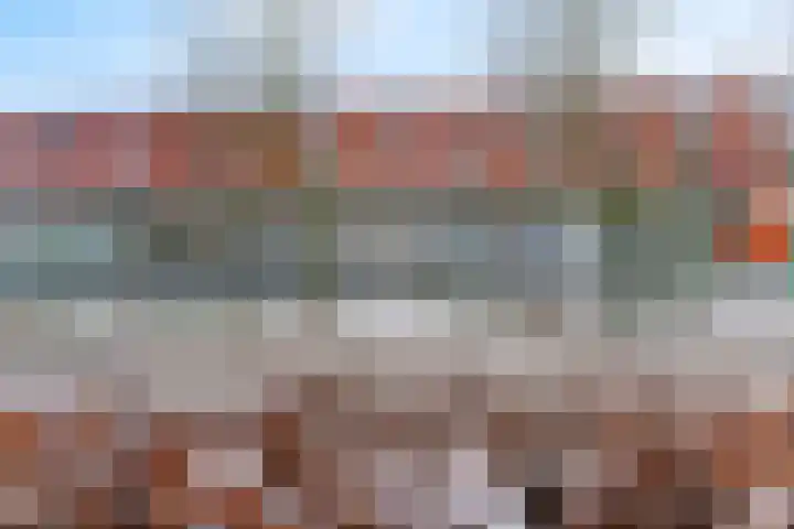 Regenboog 231 Elst thumbnail 22