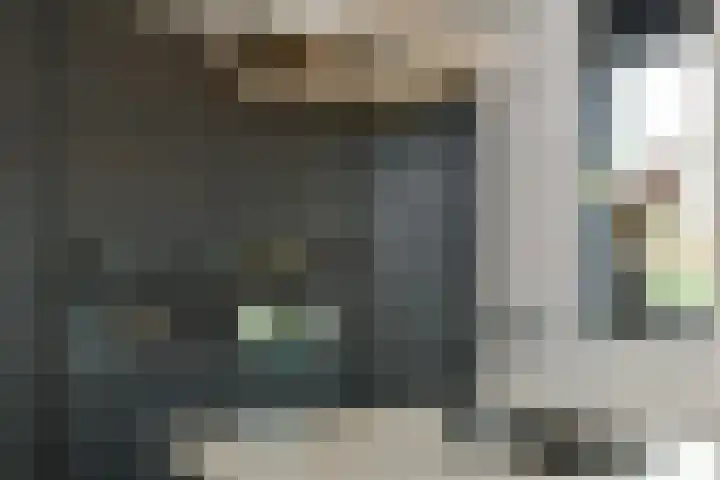 Regenboog 231 Elst thumbnail 22