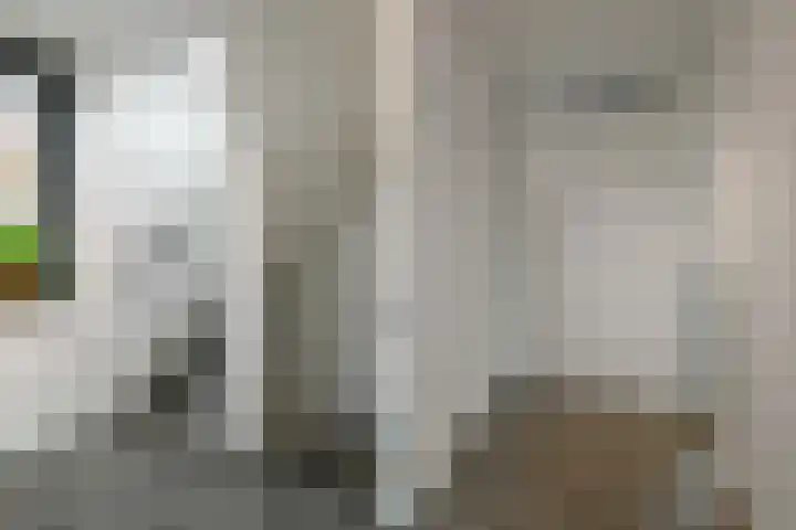 Regenboog 231 Elst thumbnail 25