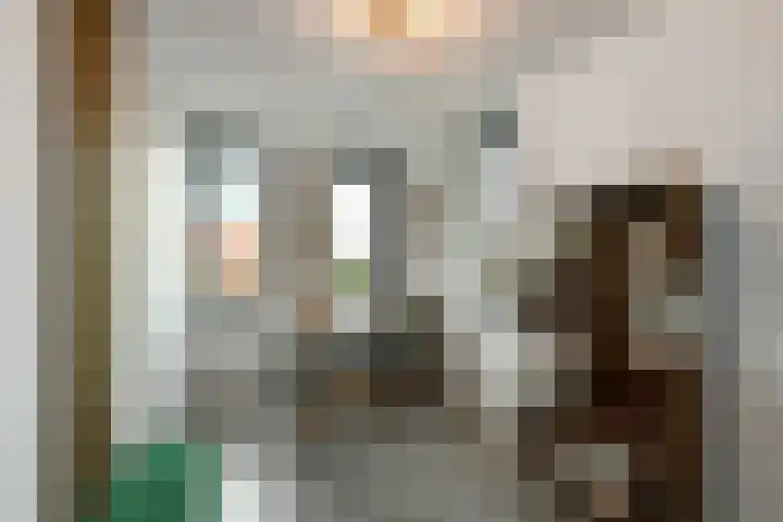 Regenboog 231 Elst thumbnail 29