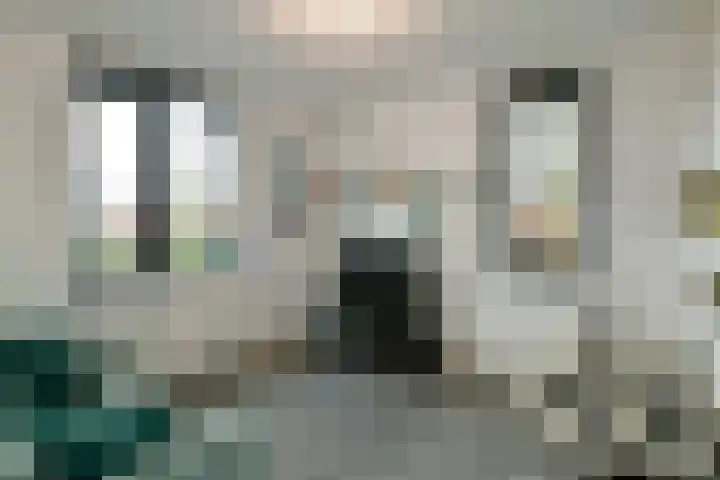 Regenboog 231 Elst thumbnail 30