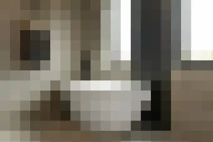 Regenboog 231 Elst thumbnail 35