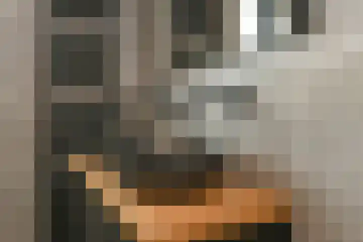 Regenboog 231 Elst thumbnail 36