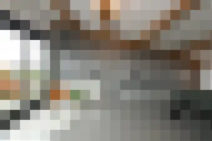 Regenboog 231 Elst thumbnail 37