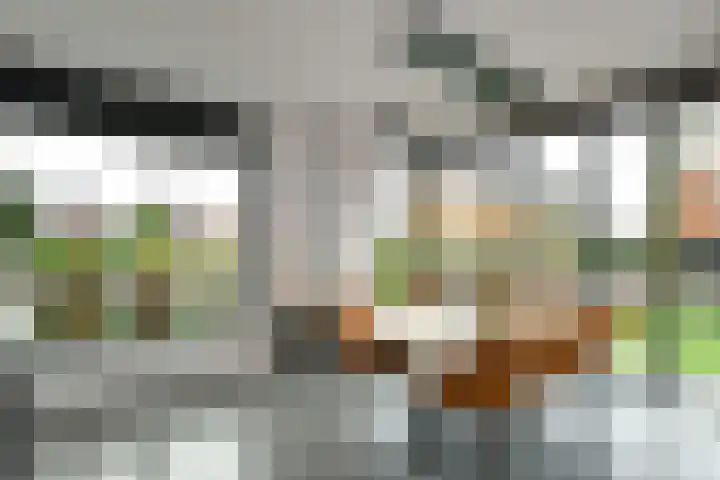 Regenboog 231 Elst thumbnail 4