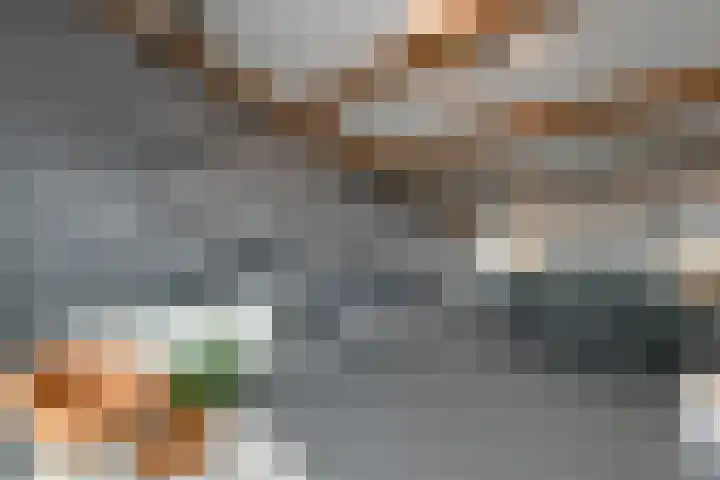 Regenboog 231 Elst thumbnail 40