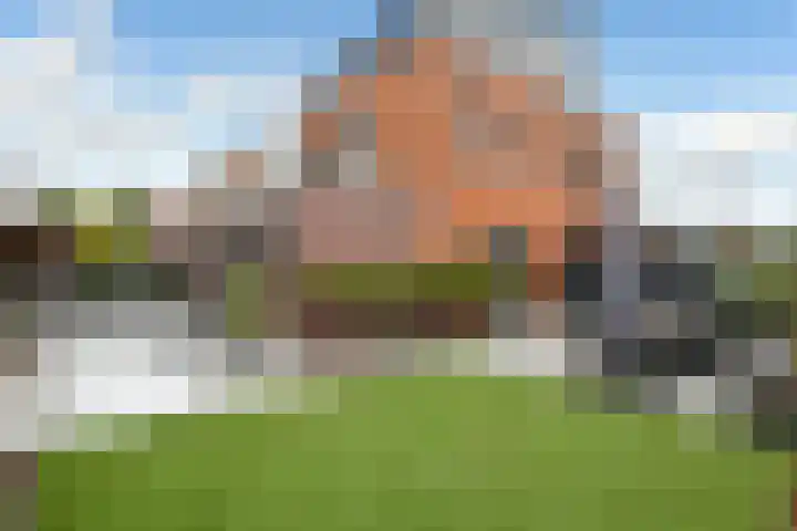 Regenboog 231 Elst thumbnail 44
