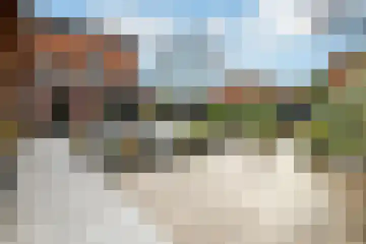 Regenboog 231 Elst thumbnail 47