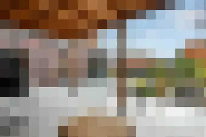 Regenboog 231 Elst thumbnail 48