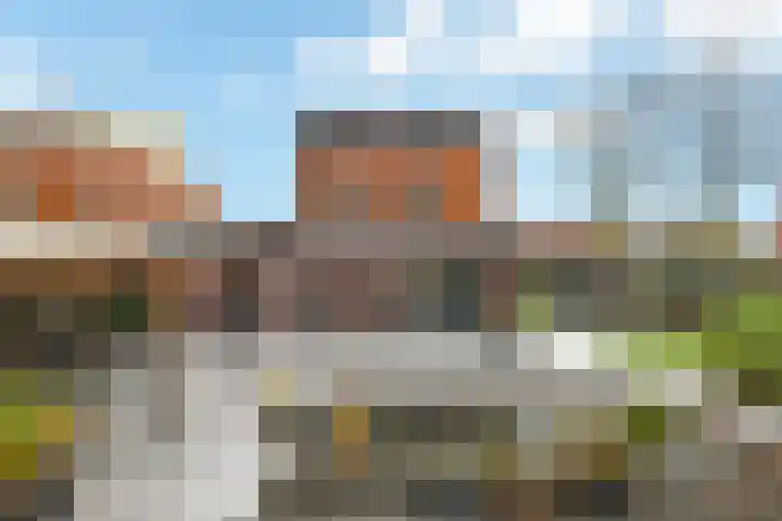 Regenboog 231 Elst thumbnail 52