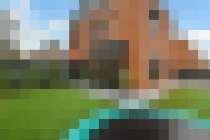 Regenboog 231 Elst thumbnail 54