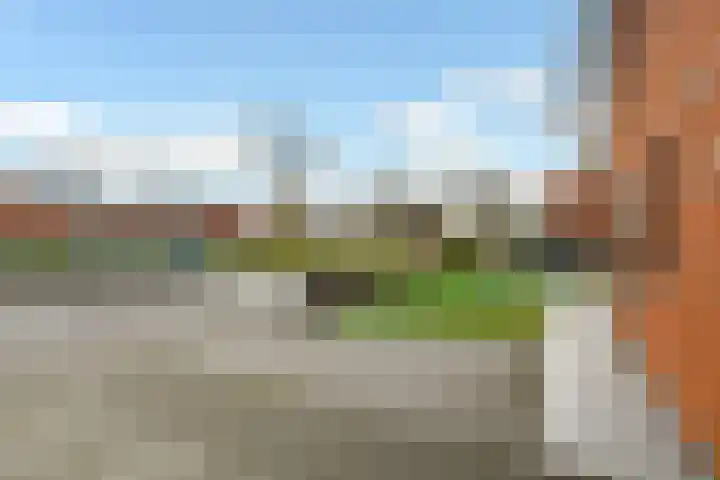 Regenboog 231 Elst thumbnail 55