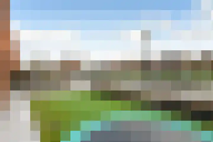 Regenboog 231 Elst thumbnail 56