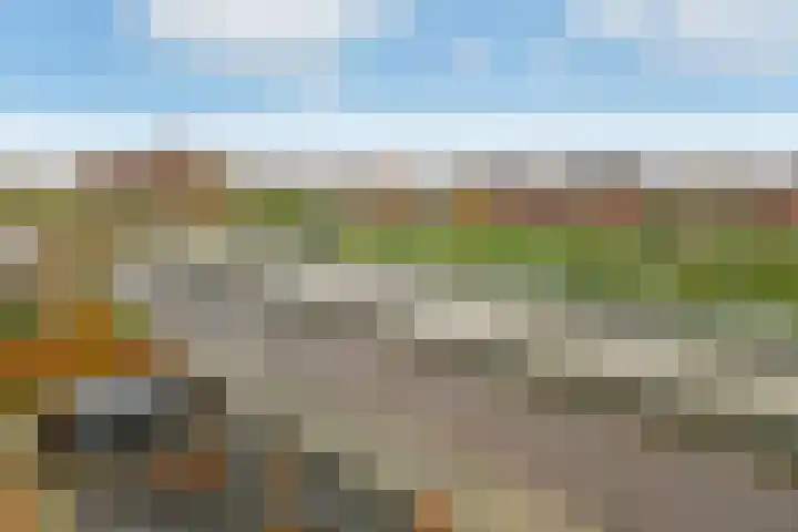 Regenboog 231 Elst thumbnail 57
