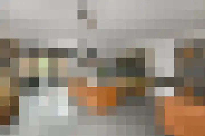 Regenboog 231 Elst thumbnail 6
