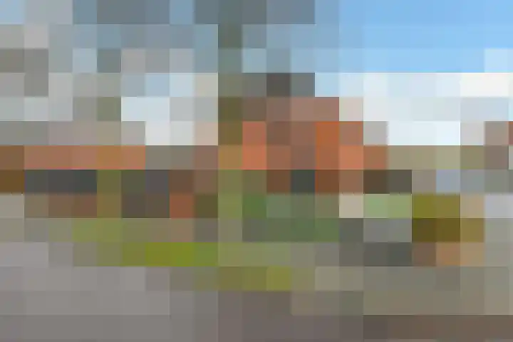 Regenboog 231 Elst thumbnail 60
