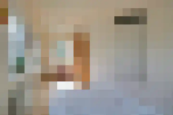 Regenboog 231 Elst thumbnail 61