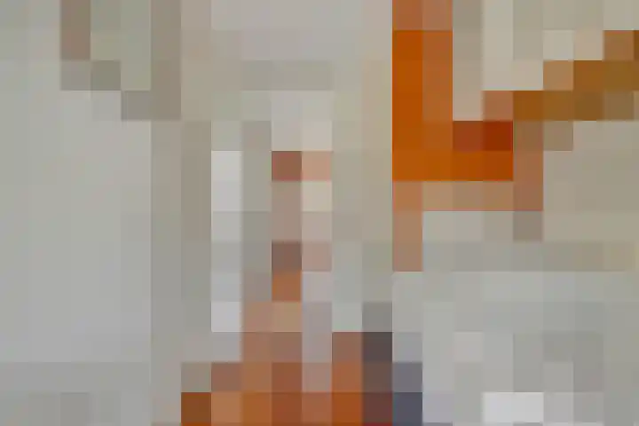 Regenboog 231 Elst thumbnail 7