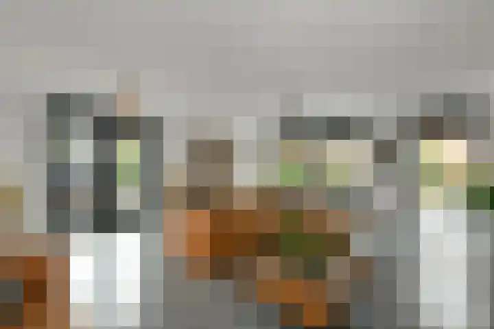 Regenboog 231 Elst thumbnail 7