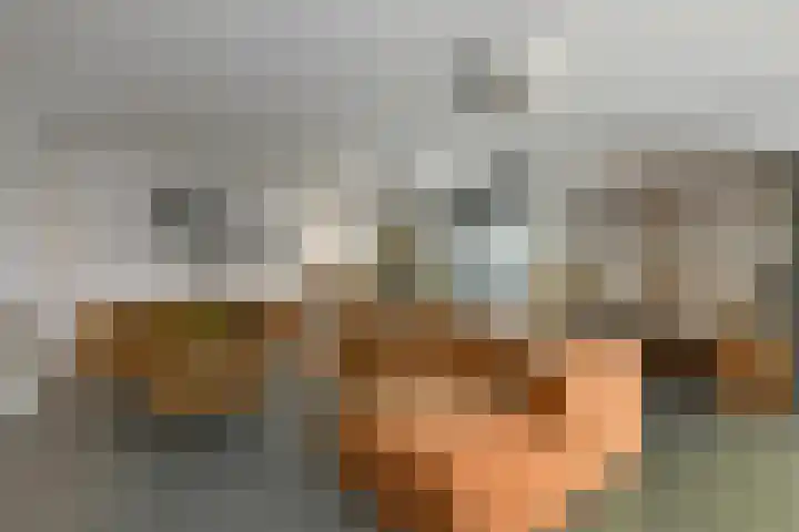 Regenboog 231 Elst thumbnail 8