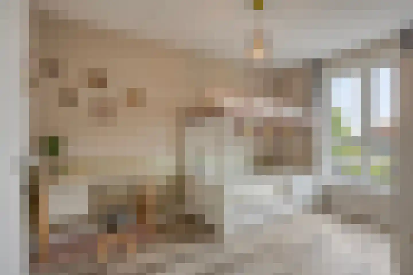 Regenboog 24 Elst thumbnail 16