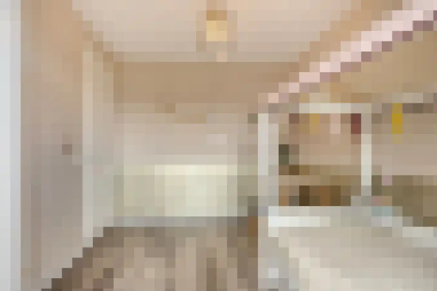 Regenboog 24 Elst thumbnail 17