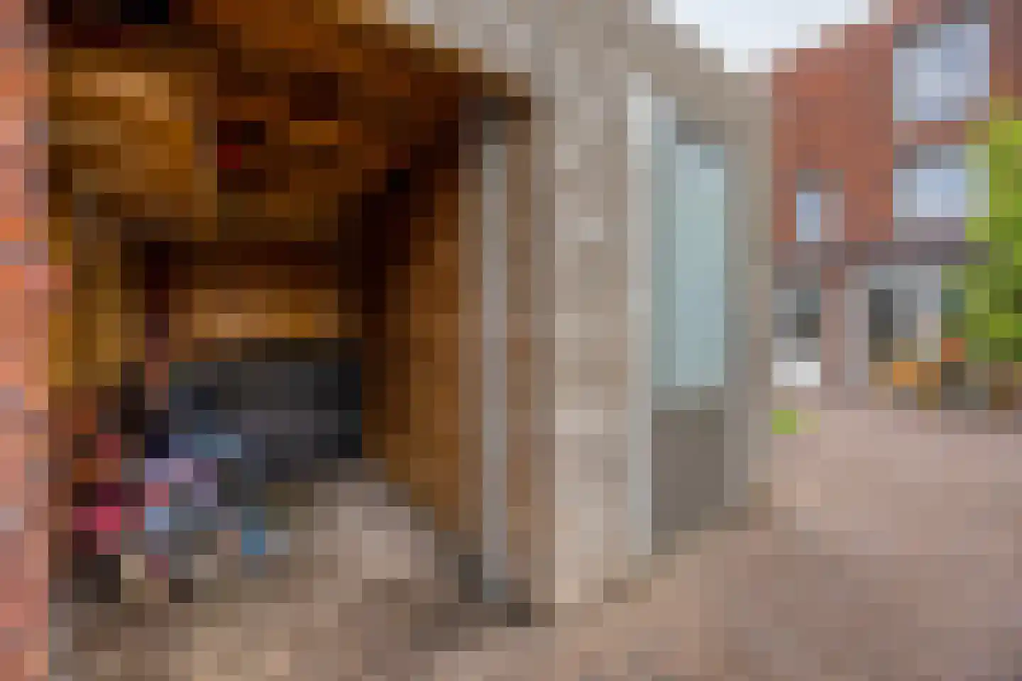 Regenboog 24 Elst thumbnail 33
