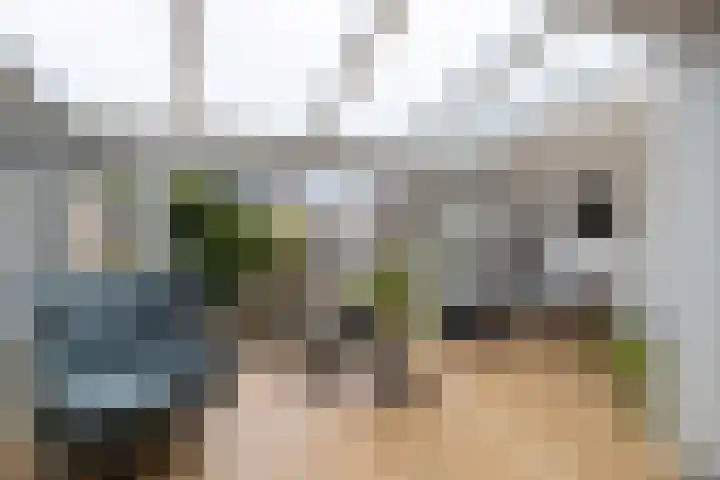 Regenboog 24 Heerenveen thumbnail 11