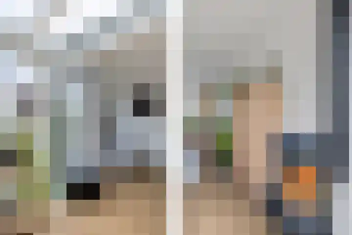 Regenboog 24 Heerenveen thumbnail 13