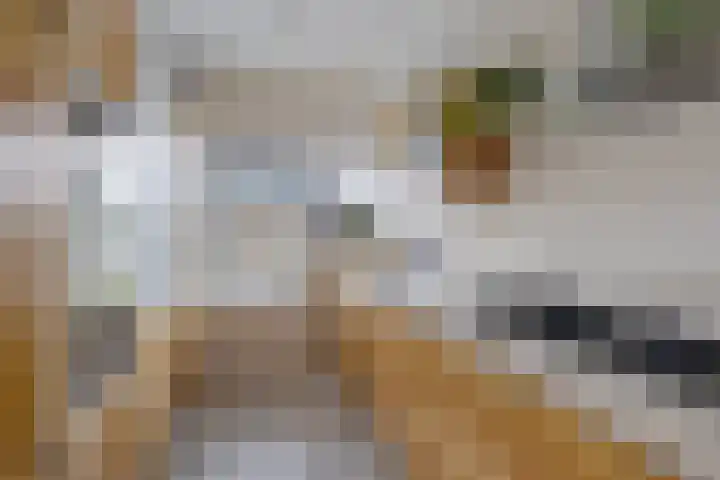 Regenboog 24 Heerenveen thumbnail 16