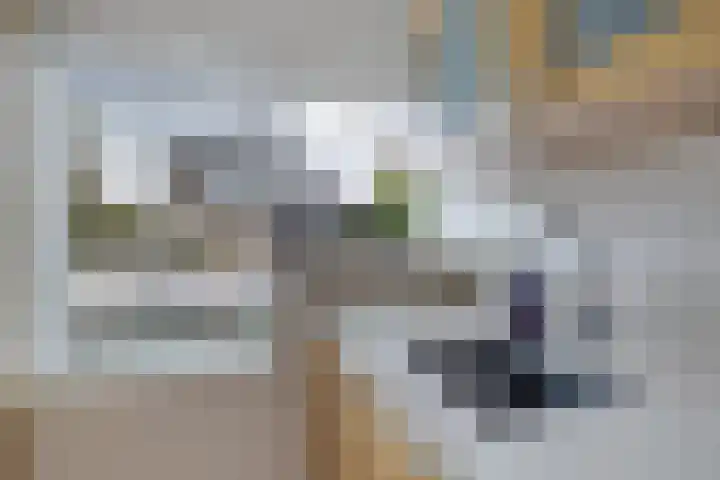 Regenboog 24 Heerenveen thumbnail 17