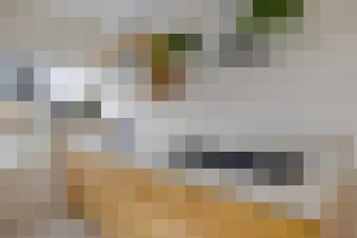 Regenboog 24 Heerenveen thumbnail 20