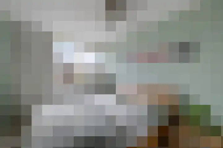 Regenboog 24 Heerenveen thumbnail 23