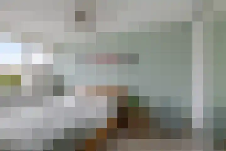 Regenboog 24 Heerenveen thumbnail 24